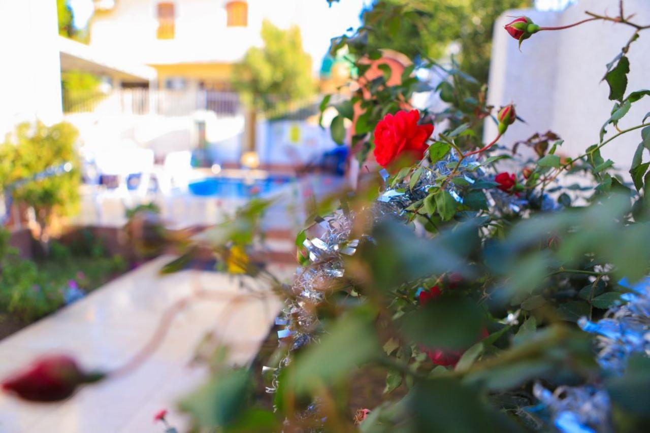 Luxor Oasis Guest House Eksteriør billede